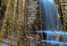 آبشار جوپار در ماهان