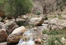 منطقه تیگران در ماهان