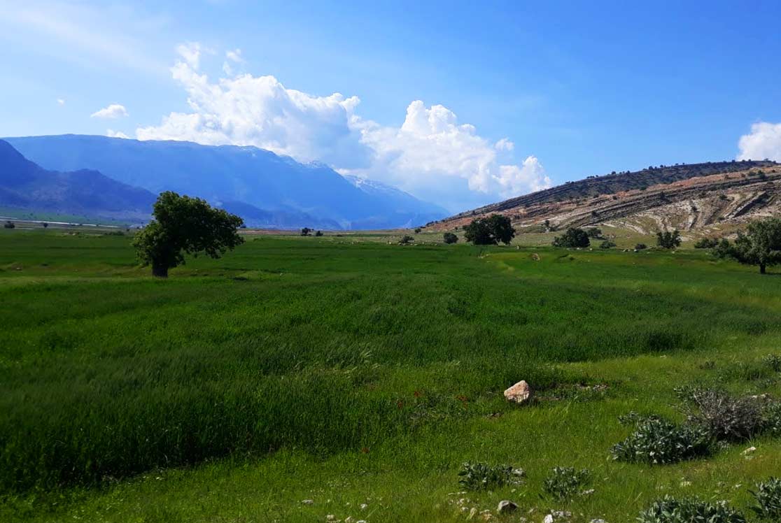 ,  روستای درب انارستان شهر کرمان 