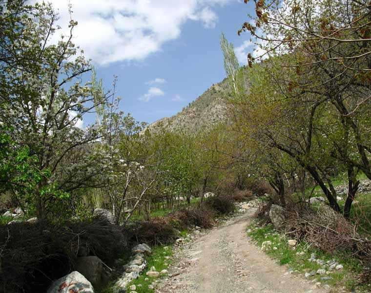 , ‌طبیعت گردی ییلاق مرغک‌ بم