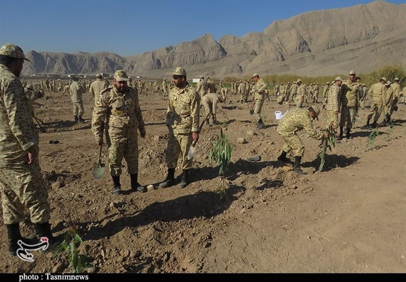 , کاشت ۲ هزار اصله درخت در مرکز آموزشی شهیدسرلشکر علیرضا اشرف‌گنجویی کرمان