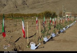کاشت ۲ هزار اصله درخت در مرکز آموزشی شهیدسرلشکر علیرضا اشرف‌گنجویی کرمان