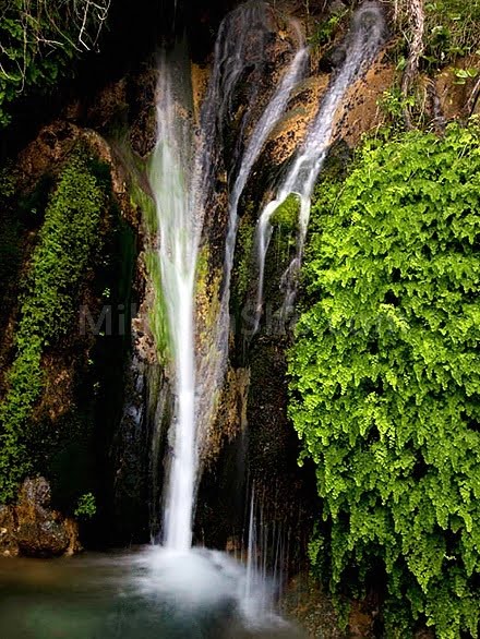 , آبشار دلفارد جیرفت