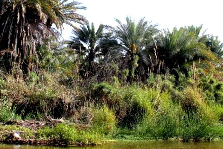 , تنگ زرچین کهنوج