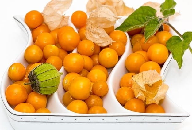 , فیسالیس میوه کهنوج