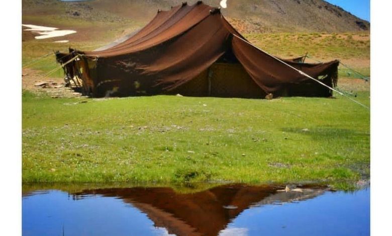 بندر هنزاء رابر
