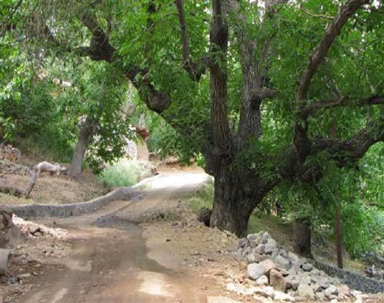 , روستا کلدان رابر