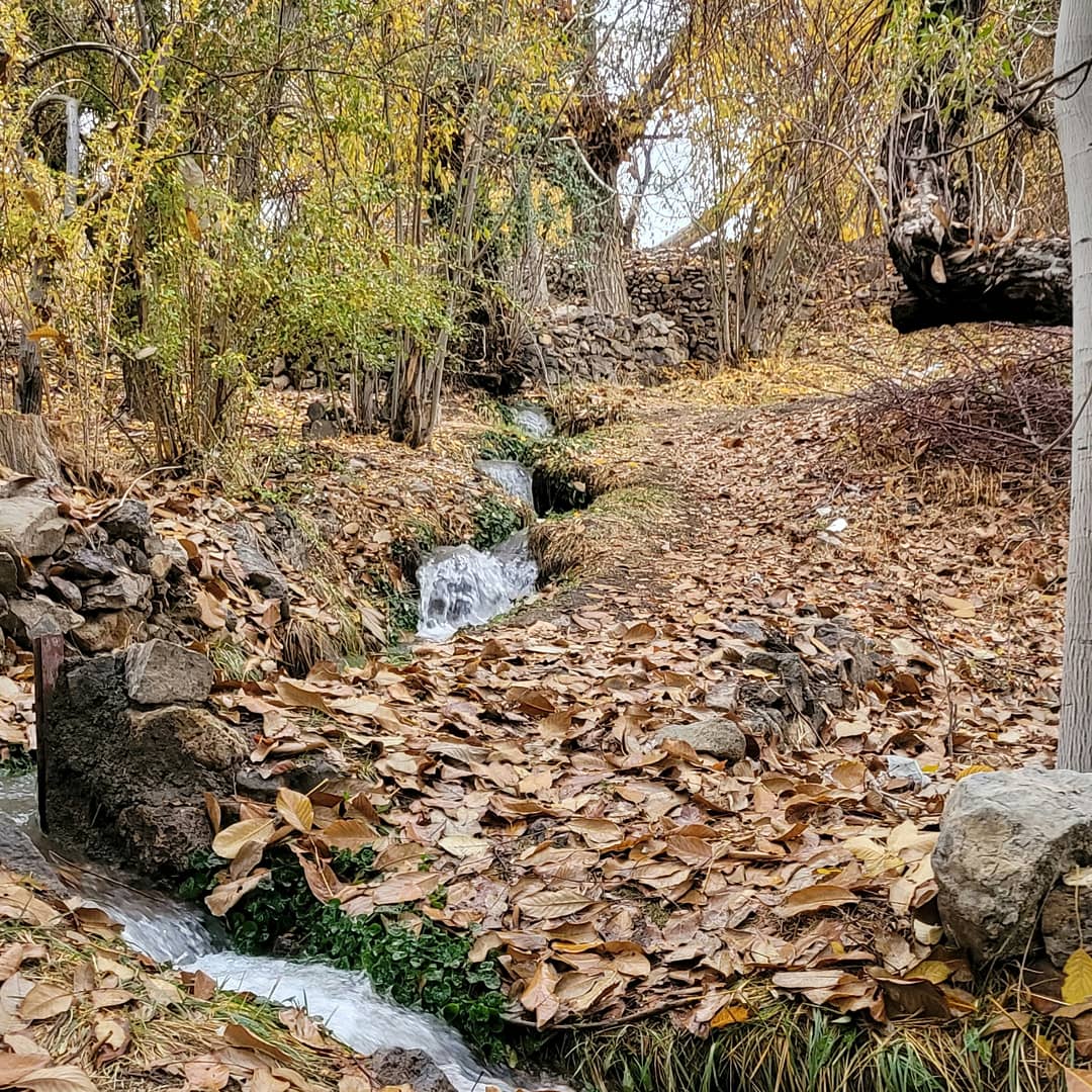 , روستای فیض‌آباد راور