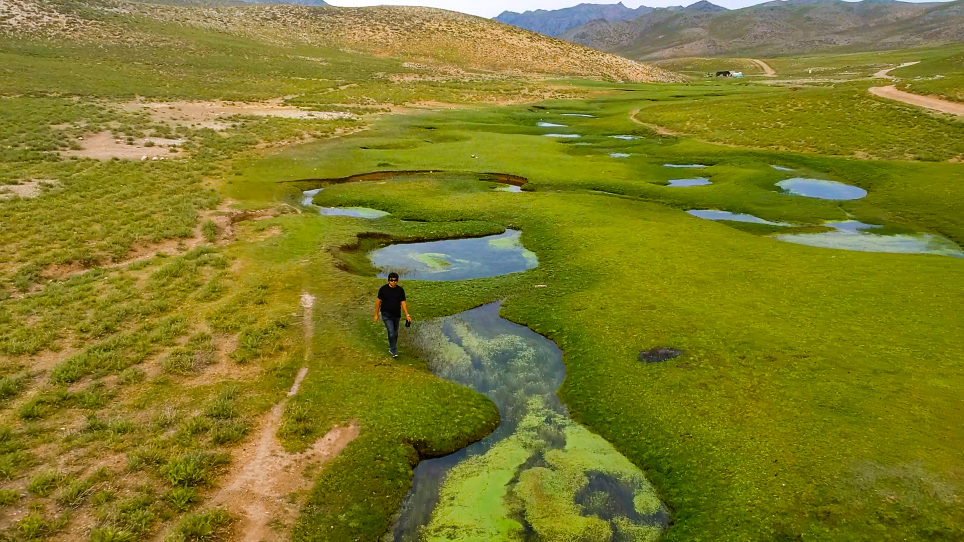 , تخت سرتشتک رابر