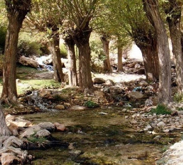 , روستای طرز راور 