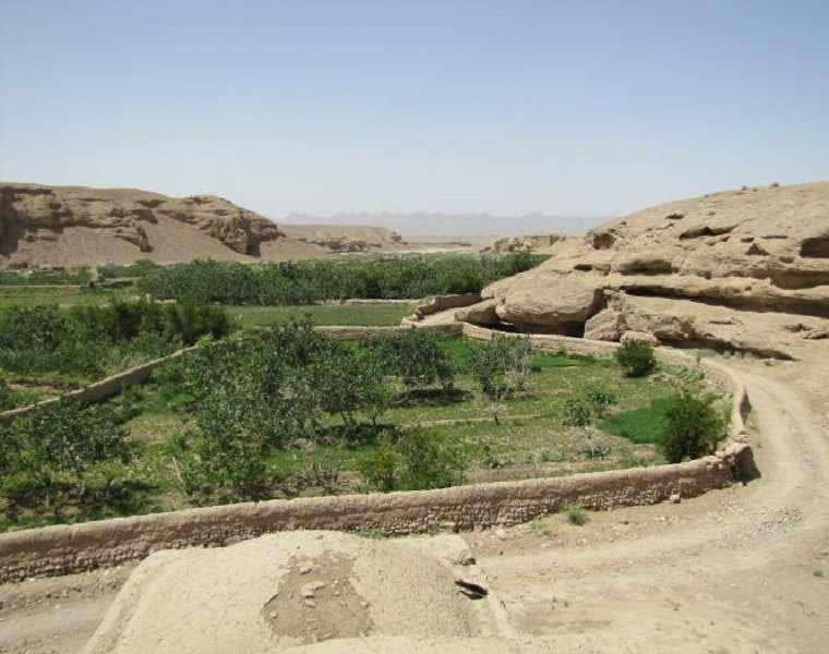 , روستای حرجند راور