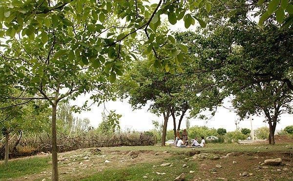 , روستای زگردی رودبار جنوب