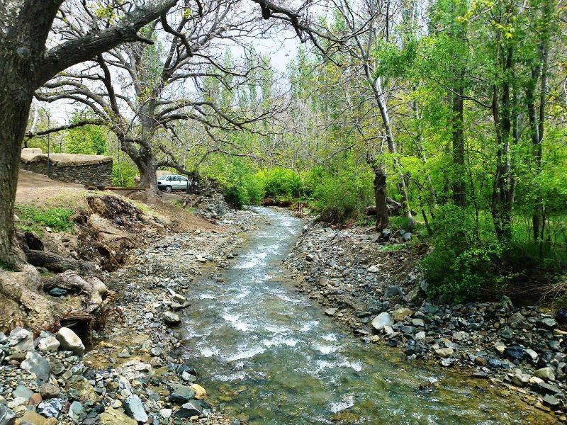 , روستای گروه راین