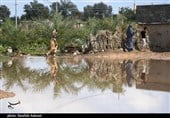 , وقوع سیلاب در کرمان خسارت جانی نداشت