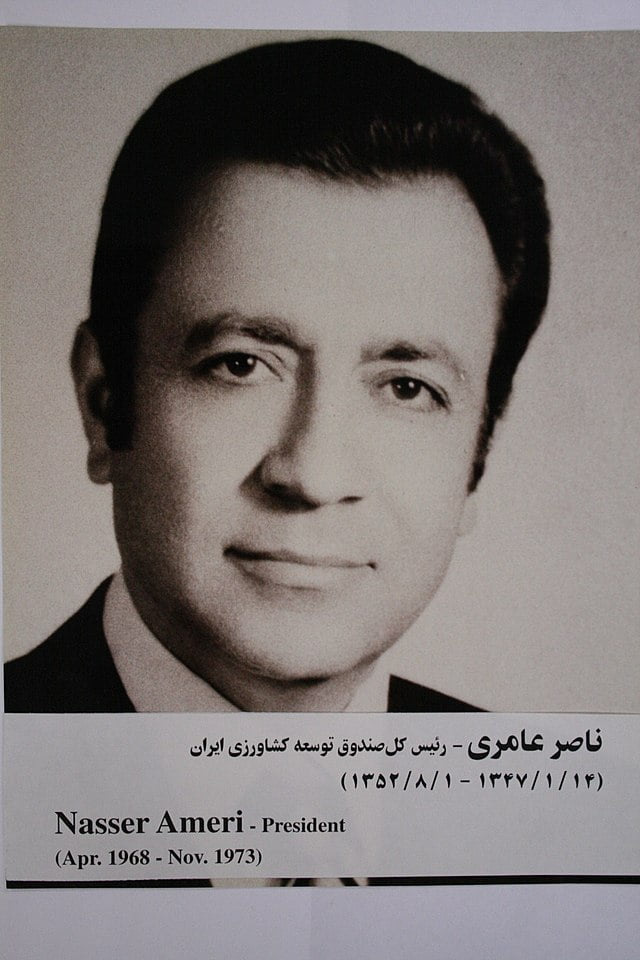 , بیوگرافی ناصر عامری