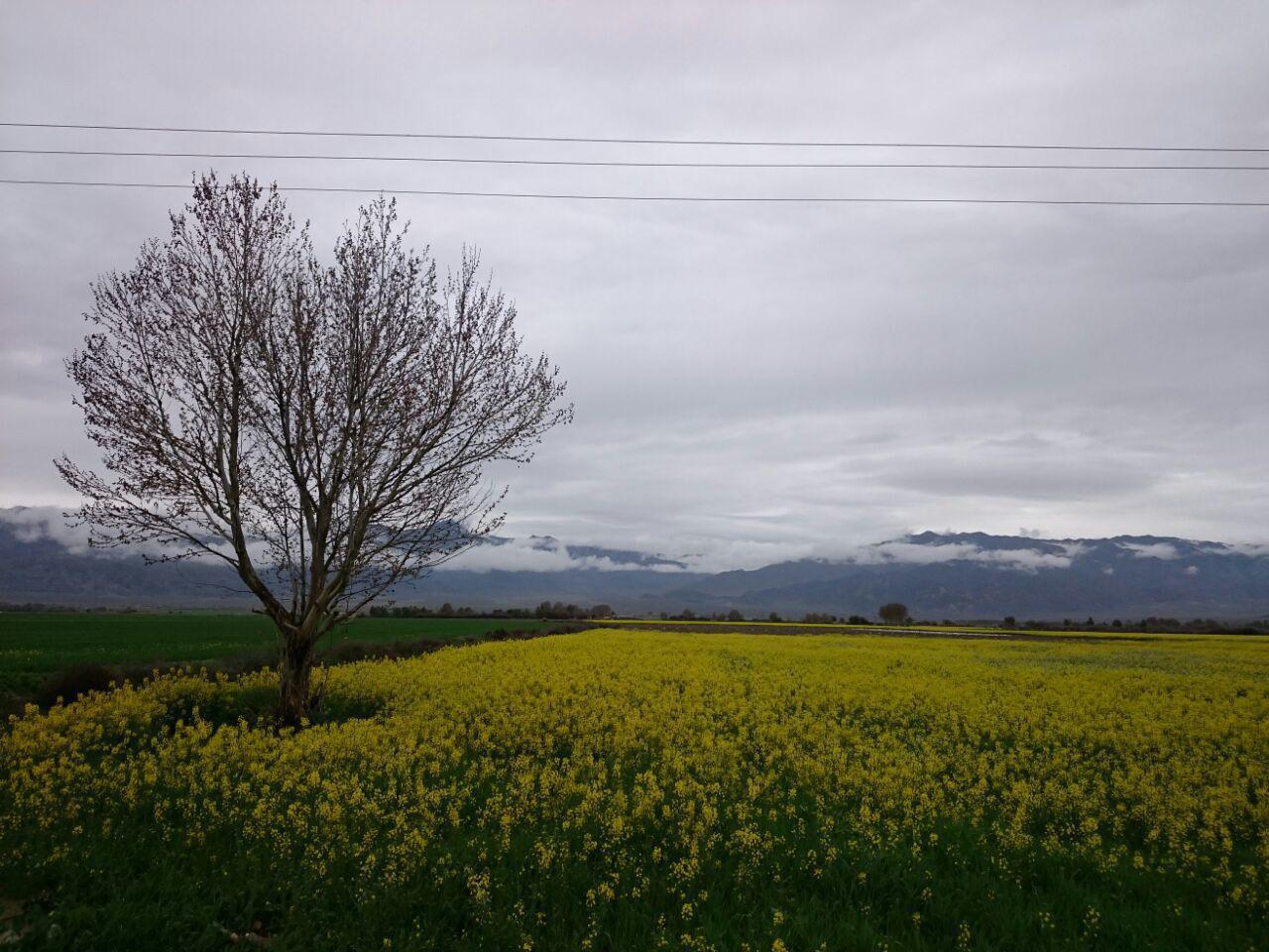 , روستای صوغان ارزوئیه