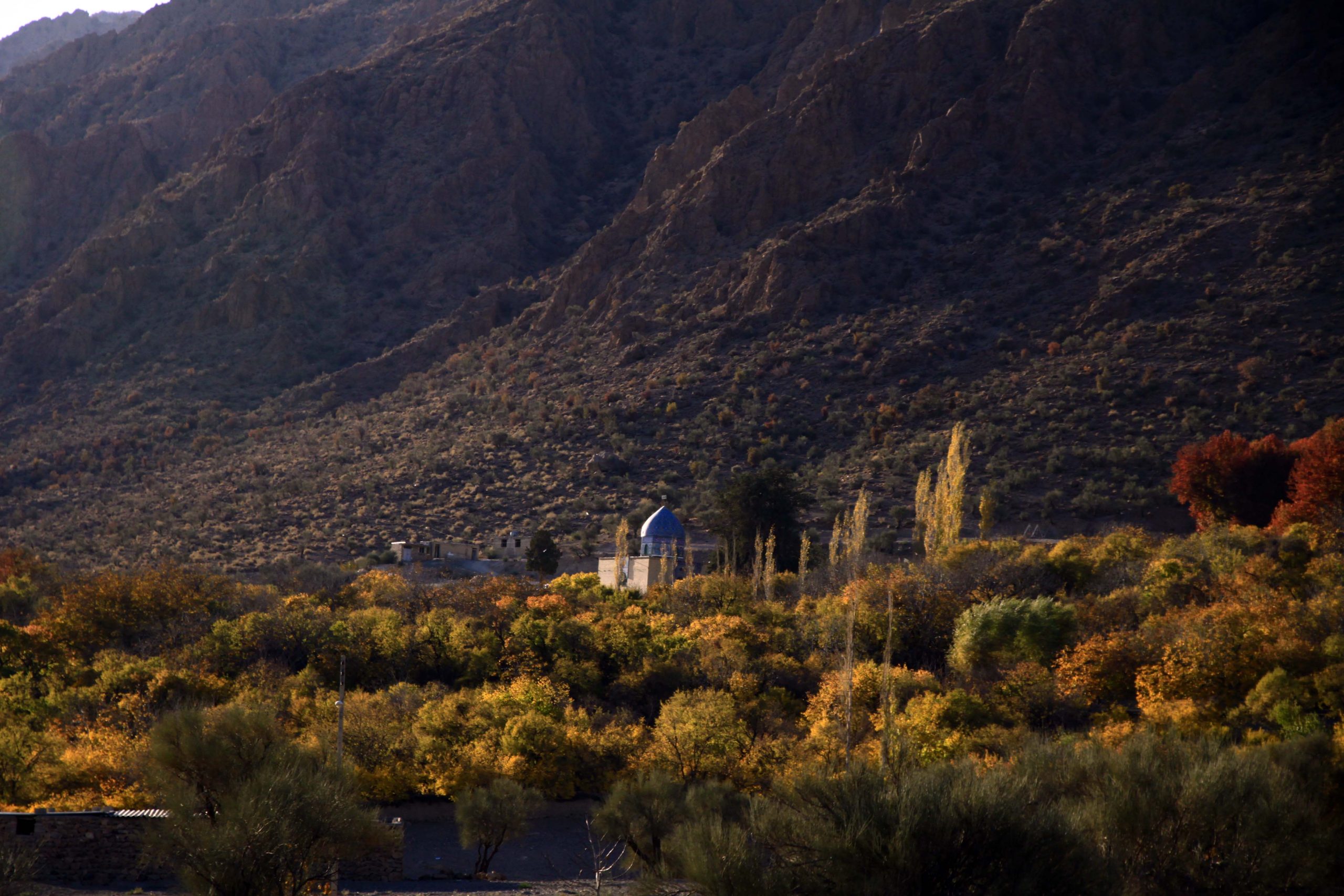 , مرقد امامزاده شیخ محمد پرنده مزار دهسرد ارزوئیه