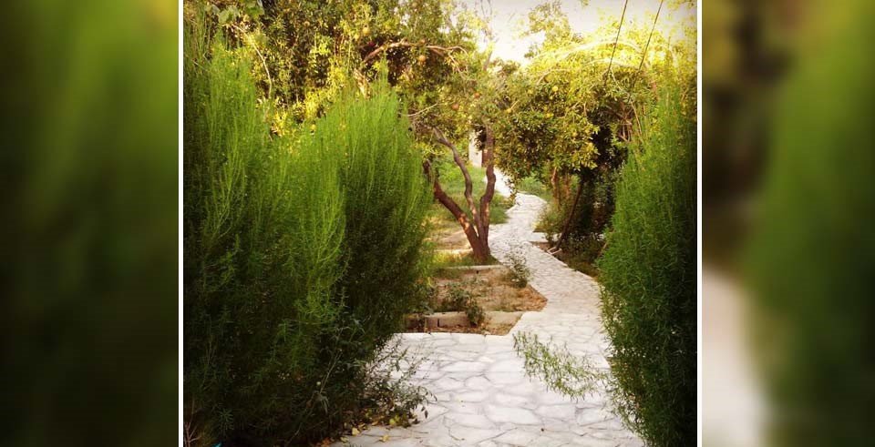 , اقامتگاه بوم گردی اناران ارزوئیه