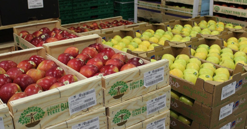 , لزوم توسعه صادرات محصولات کشاورزی جنوب کرمان به کشور‌های همسایه