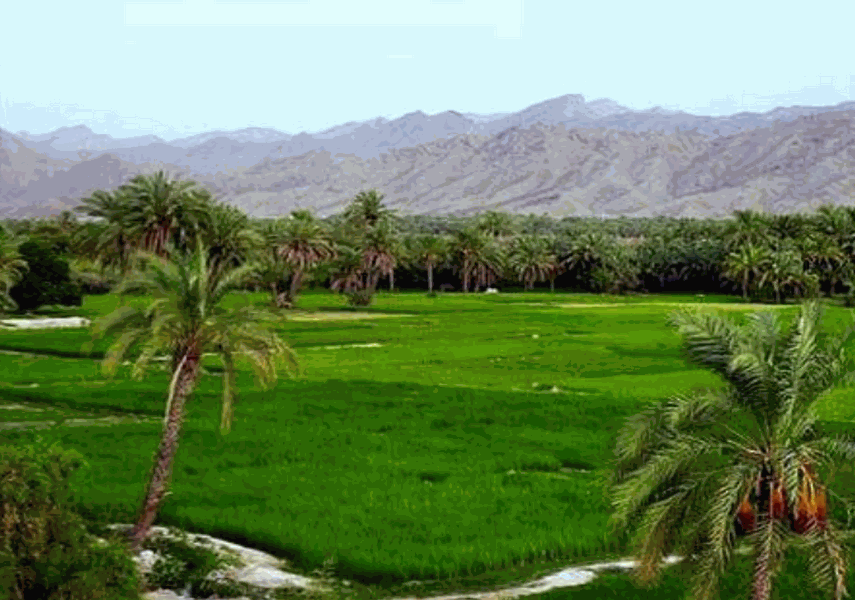 , روستای مارز قلعه گنج