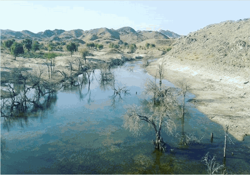 , سدهای شش گانه پاسبین قلعه گنج