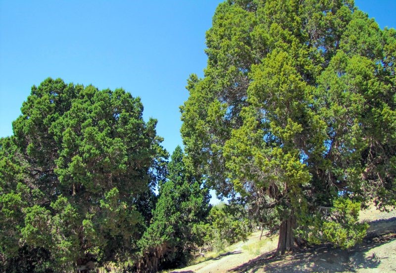 , روستای سبلا کوهبنان