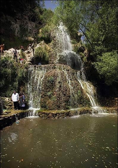 , بخش گنبکی ریگان