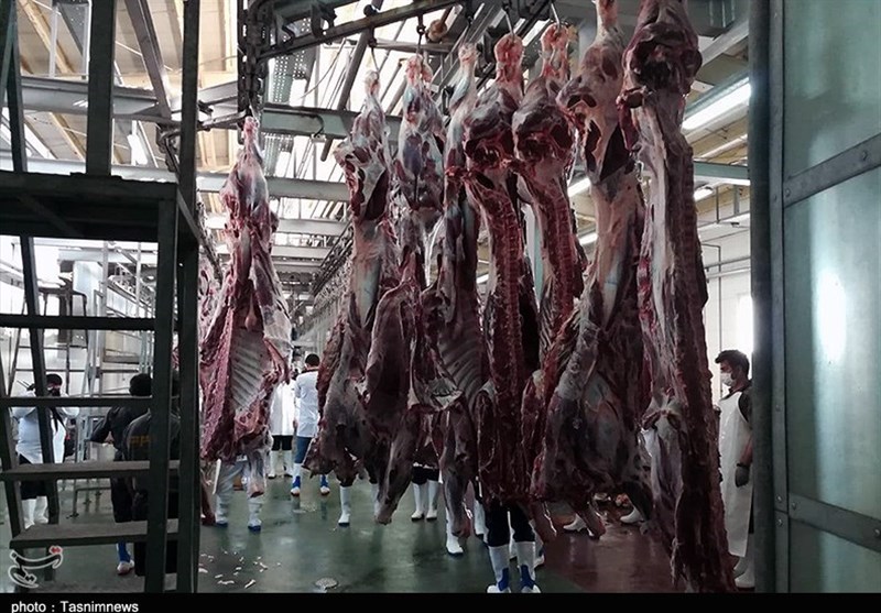 , لزوم ساماندهی کشتار دام در جنوب استان کرمان
