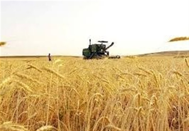 , هشدار آب منطقه‌ای کرمان: توسعه کشاورزی به صلاح نیست