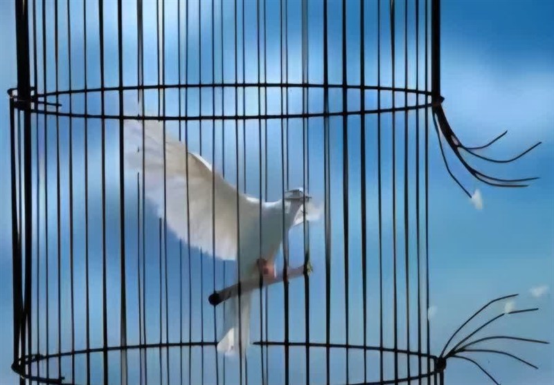 , آزادی ۶ زندانی زن جرایم غیرعمد زندانهای استان کرمان در جشن گلریزان فرودگاه