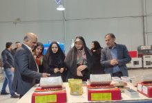 مشاغل خانگی زنان در بهبود معیشت خانوادههای شرق کرمان نقش کلیدی دارد