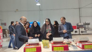 مشاغل خانگی زنان در بهبود معیشت خانواده&zwnj;های شرق کرمان نقش کلیدی دارد