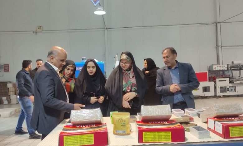 مشاغل خانگی زنان در بهبود معیشت خانوادههای شرق کرمان نقش کلیدی دارد