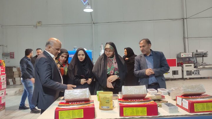 , مشاغل خانگی زنان در بهبود معیشت خانواده‌های شرق کرمان نقش کلیدی دارد