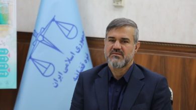 کشف ۲۱۸ قبضه سلاح غیرمجاز در رزمایش اطلاعاتی و امنیتی استان کرمان