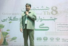 رویداد محوری بستر مناسب جذب سرمایه&zwnj;گذار و نشاط اجتماعی در کرمان است