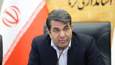 طالبی: استان کرمان به رتبه دوازدهم اشتغال کشور رسید