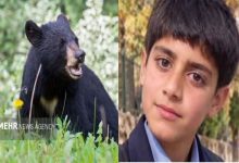 تعارض حیات وحش و انسان ها در جنوب کرمان؛ یک نوجوان توسط خرس کشته شد