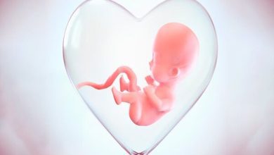 جلوگیری از ۱۱۹۰ مورد سقط جنین در کرمان؛ ۸۱۳ نوزاد متولد شدند